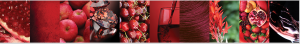 Red-Wine_07