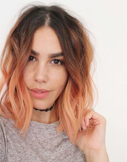 Vanessa Hudgens cher hair