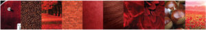 Rich-Auburn-Mahogany_moodboard-Final