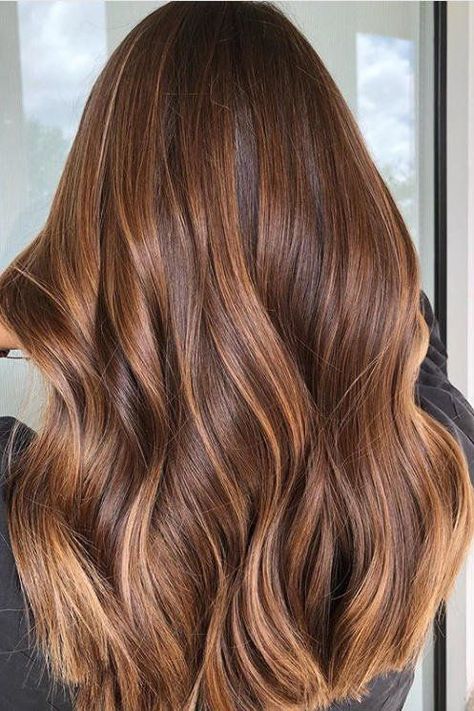 Renew: warm coffee colour hair - Renew Renew: warm coffee colour hair - Renew